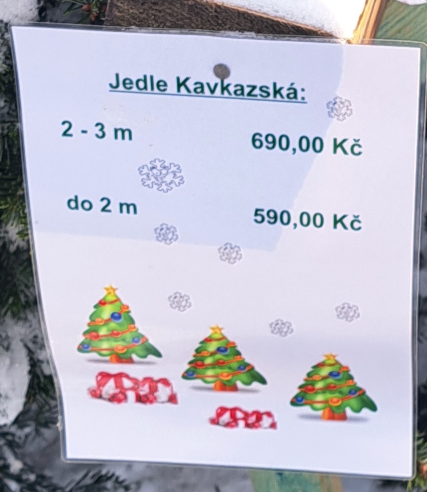 stromecek.jpg